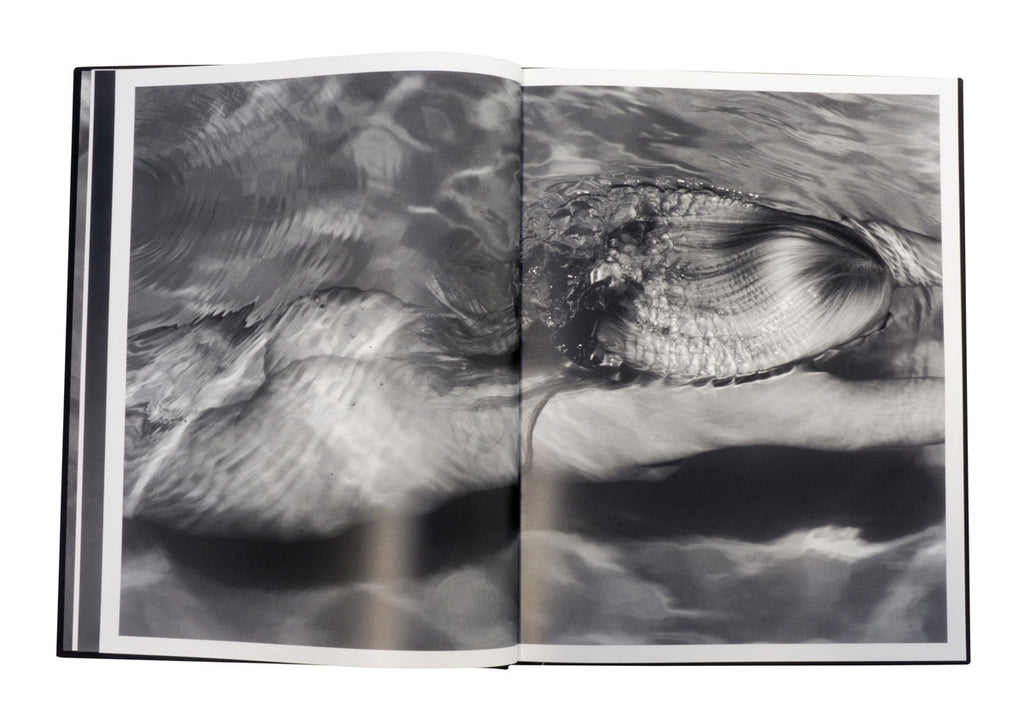 Ditch Plains Press