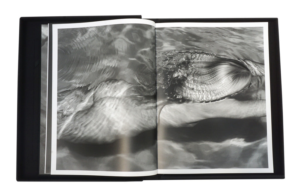 Ditch Plains Press