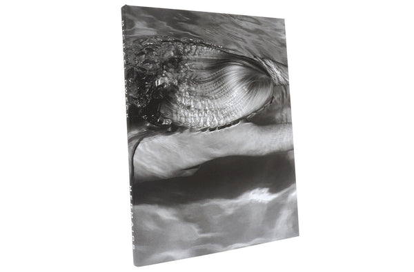 Michael Dweck, Mermaids, 2008 – Ditch Plains Press