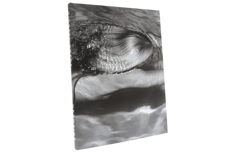 Mermaids, 2008